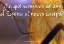 ¿En qué momento se une el Espíritu al nuevo cuerpo? Imagen unión del espíritu al cuerpo físico