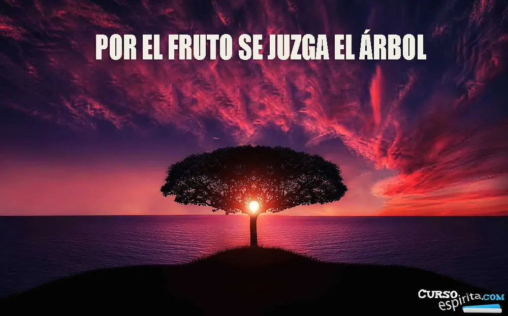 Por-el-fruto-se-juzga-el-arbol